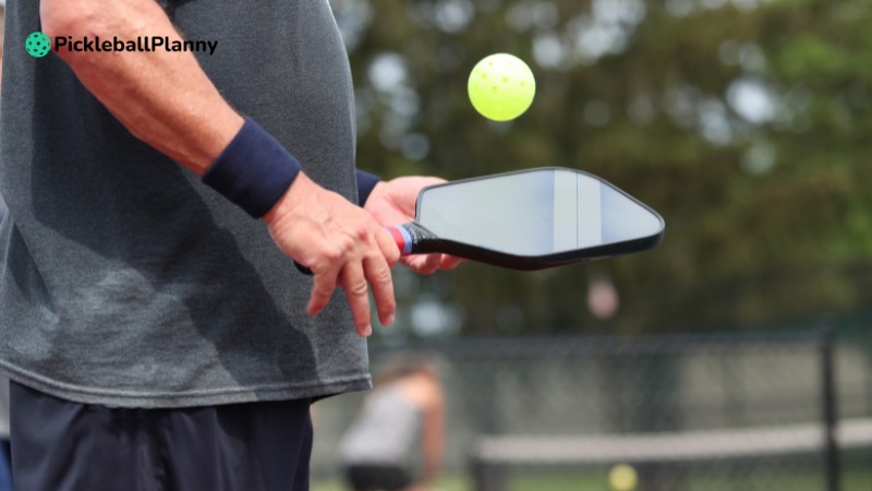 how did pickleball get its name