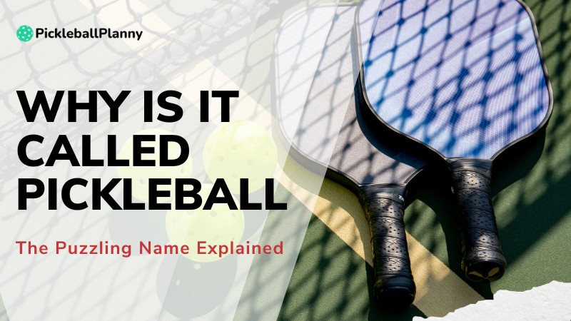 Why is it called Pickleball